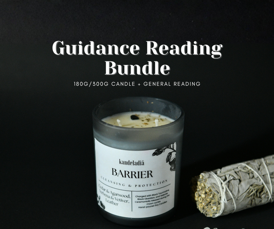 Barrier: Cleansing & Protection + Guidance Reading